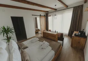 Zemunice Knezevic - Room