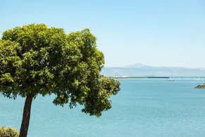 AC Hotel by Marriott San Francisco Airport/Oyster Point Waterfront - Vue de la chambre
