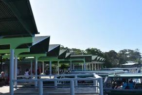 Casa turtle Bogue - Restaurant