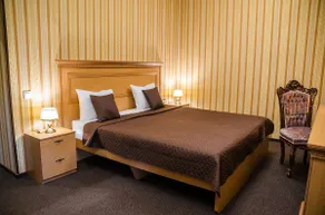 Dvoryanskiy Hotel - Room