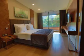 Ramada By Wyndham Bursa Çekirge Thermal & Spa - Habitación