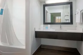 Hampton Inn Orlando Near Universal Blv/International Dr - Salle de bain