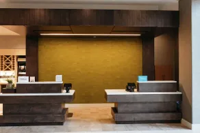 Hilton Garden Inn Madison Sun Prairie - Réception