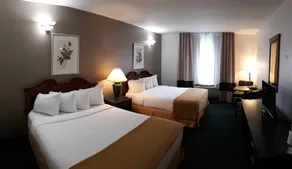 Pleasant Moose Lodge - Room
