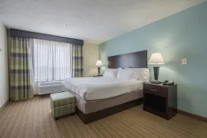 Holiday Inn Express Dandridge by IHG - Zimmer
