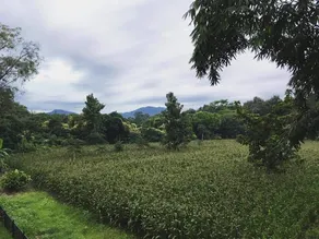 Manonnee - View from room
