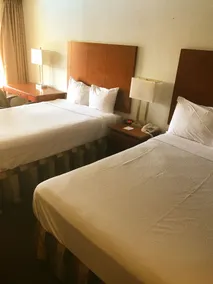 Days Inn & Suites by Wyndham Mobile - Chambre