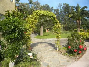 Auberge Les Oliviers - Reception
