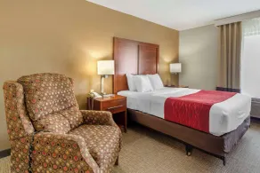 Comfort Inn & Suites Rapid City South - Mt Rushmore Gateway - Chambre
