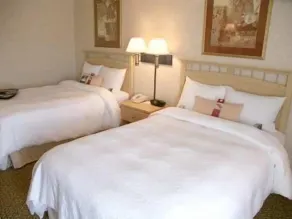 Hampton Inn Dublin - Chambre