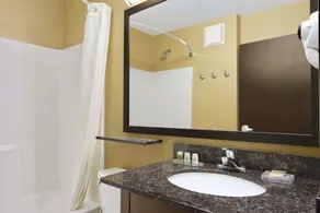 Microtel Inn & Suites by Wyndham Round Rock - Salle de bain