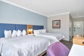 Hampton Inn & Suites Fort Worth-Fossil Creek - Chambre