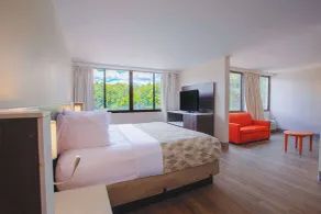 Americas Best Value Inn Winston-Salem - Chambre