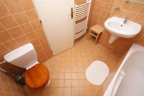 Apartments at the Golden Plough - Bagno