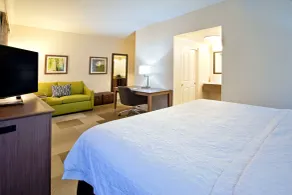 Hampton Inn & Suites Nashville-Smyrna - Chambre