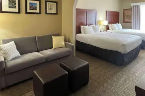 Comfort Suites San Antonio Near Seaworld - Chambre