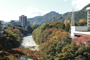 Kinugawa Onsen Sanraku - Vue de la chambre