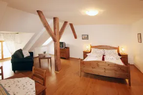 Penzion U Chodskeho Hradu - Habitación