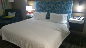 Hampton Inn & Suites Kansas City-Merriam - Rum