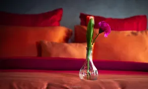 Hôtel ZIRYAB - Chambre