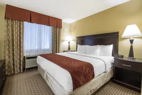 Comfort Suites Wisconsin Dells Area - Vue de la chambre