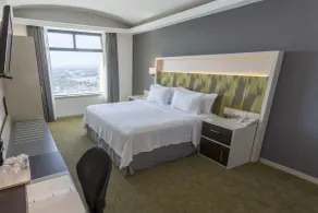 Holiday Inn Queretaro Zona Diamante by IHG - View from room