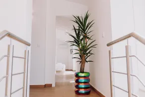 Quinta dos Sinçais - Zimmer