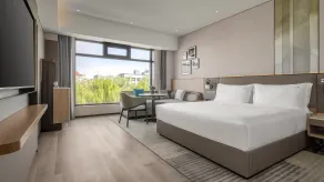 Holiday Inn Jinan Daming Lake by IHG - Værelse
