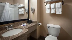 Best Western Plus Kalamazoo Suites - Salle de bain