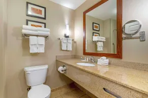 Comfort Suites Sarasota-Siesta Key - Bathroom