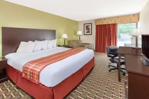 Days Inn & Suites by Wyndham Madison Heights MI - Chambre
