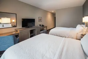 Hampton Inn & Suites at Wisconsin Dells Lake Delton - Chambre