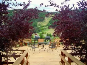 2640 Tenderfoot Lodge Condo - Terrace/patio