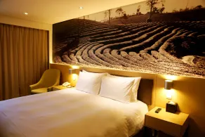 Tao Garden Hotel - Chambre
