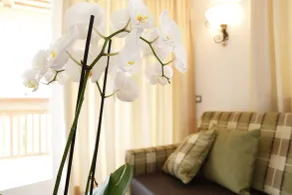 Christophorus Mountain Residence - Rum