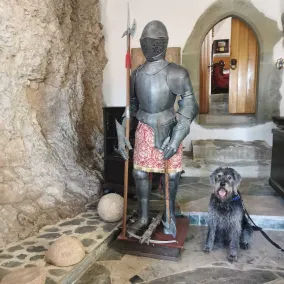 Burg Hermannstein - Rittersaal - Ingresso interno