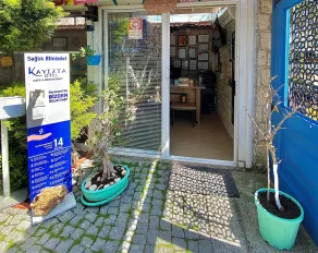 Alacati Kayezta Hotel - Recepción