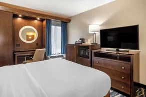 Comfort Inn & Suites Newark - Wilmington - Chambre