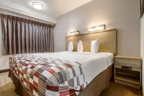 Red Roof Inn Detroit - Farmington Hills - Chambre