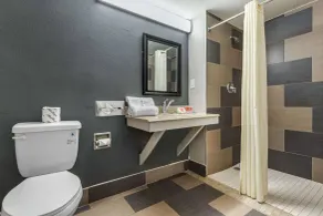 Econo Lodge Rock Hill Northeast - Salle de bain