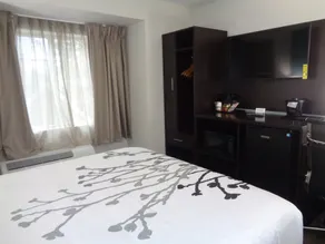 Sleep Inn & Suites Tallahassee-Capitol - Chambre