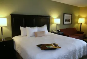 Hidden Falls Inn - Chambre