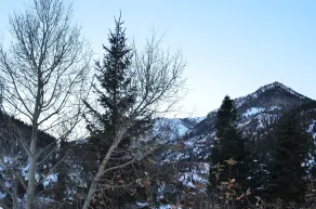 The Ouray Main Street Inn - Utsikt från rummet