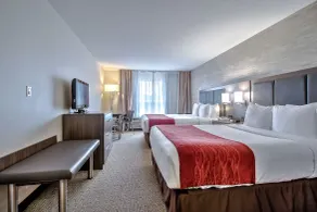 Comfort Inn & Suites South - Room