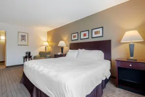 Clarion Inn Elmira-Horseheads - Chambre