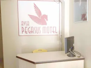 Pegasus Motel - Rezeption