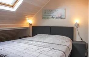 Boerenzwaluw - Quarto
