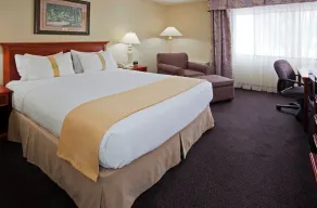 Holiday Inn & Suites St. Cloud by IHG - Chambre