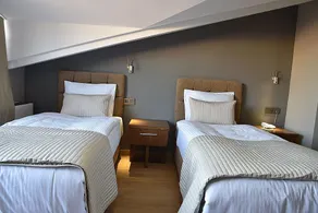 The Elegant Hotel - Room