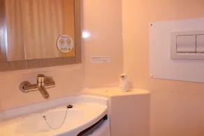 Hôtel Première Classe Saint Quentin en Yvelines Elancourt Trappes - Salle de bain